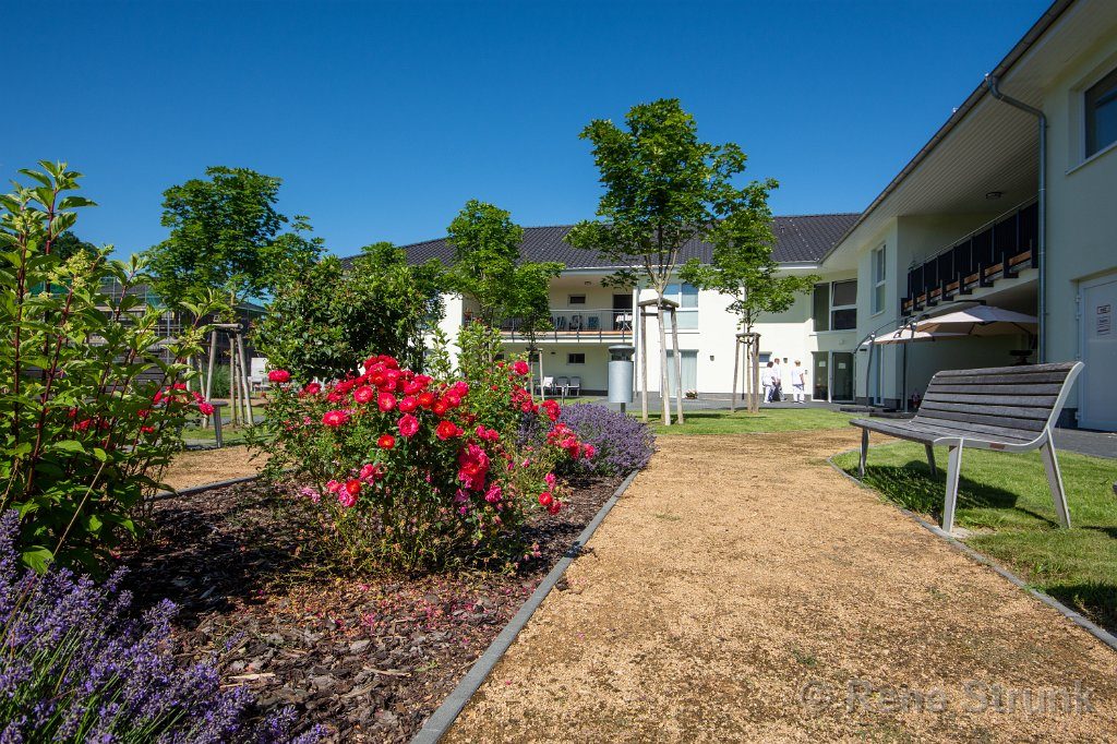 Businessfotografie Blumenbeet mit Rosen und Lavendel, umgeben von modernen Gebäuden und Bänken.