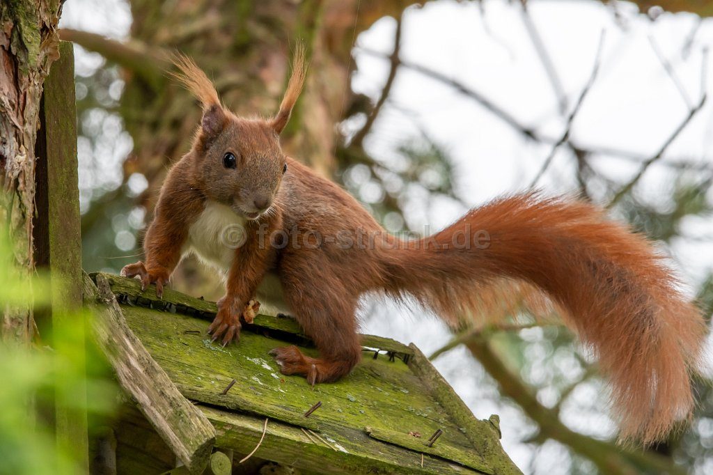 Drohnenaufnahmen Kyritzer Seenkette umgeben von üppigen Bäumen und einem kleinen Waldgebiet.